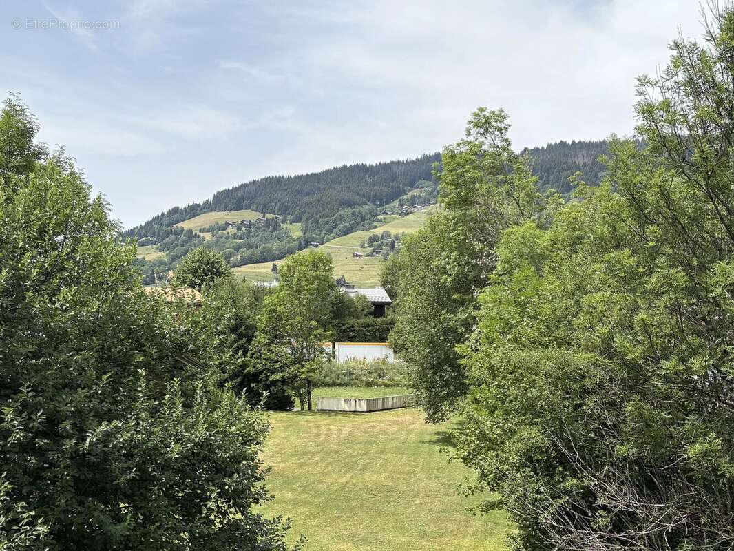 T3 Megève- Demi-Quartier - photo 8
