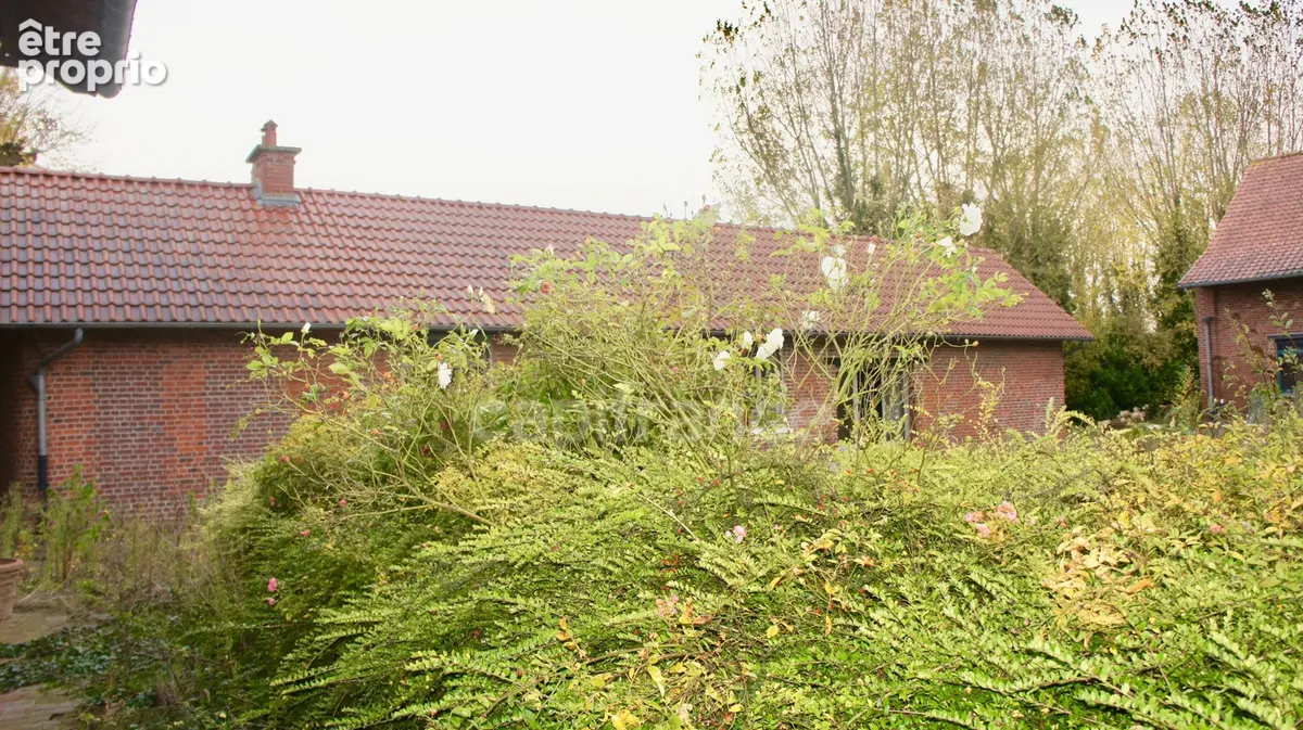 Local/bureau à vendre STEENWERCK (59) Corps de ferme au carré pour un usage mixte sur une parcelle de 27 474 m² - photo 43