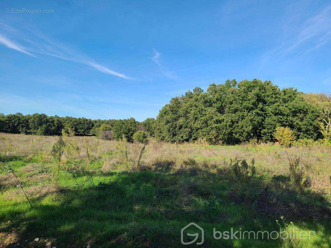 Terrain à CRUVIERS-LASCOURS