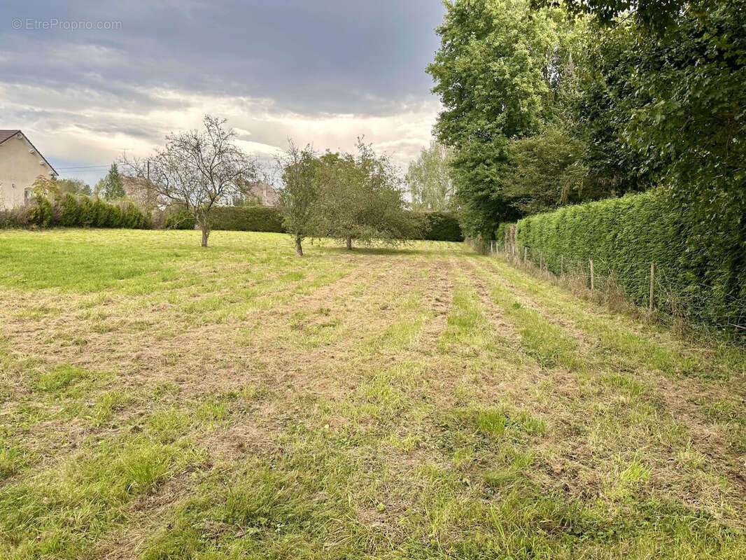 Terrain à RAMBERVILLERS