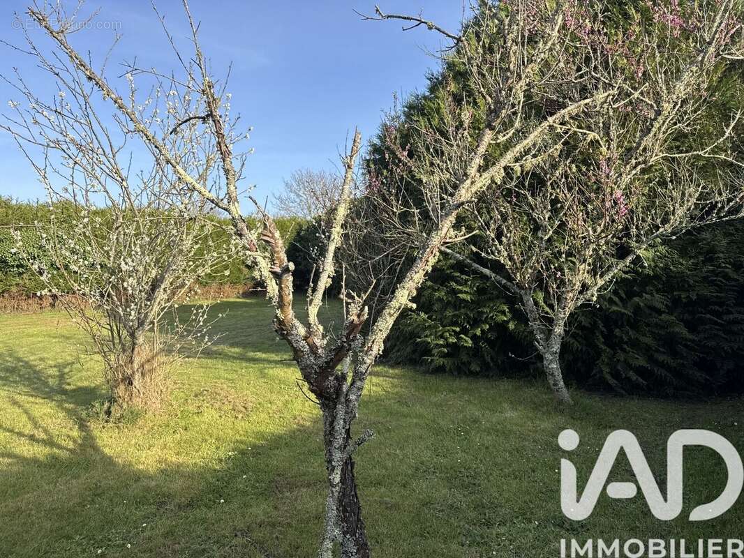 Photo 3 - Terrain à RIANTEC