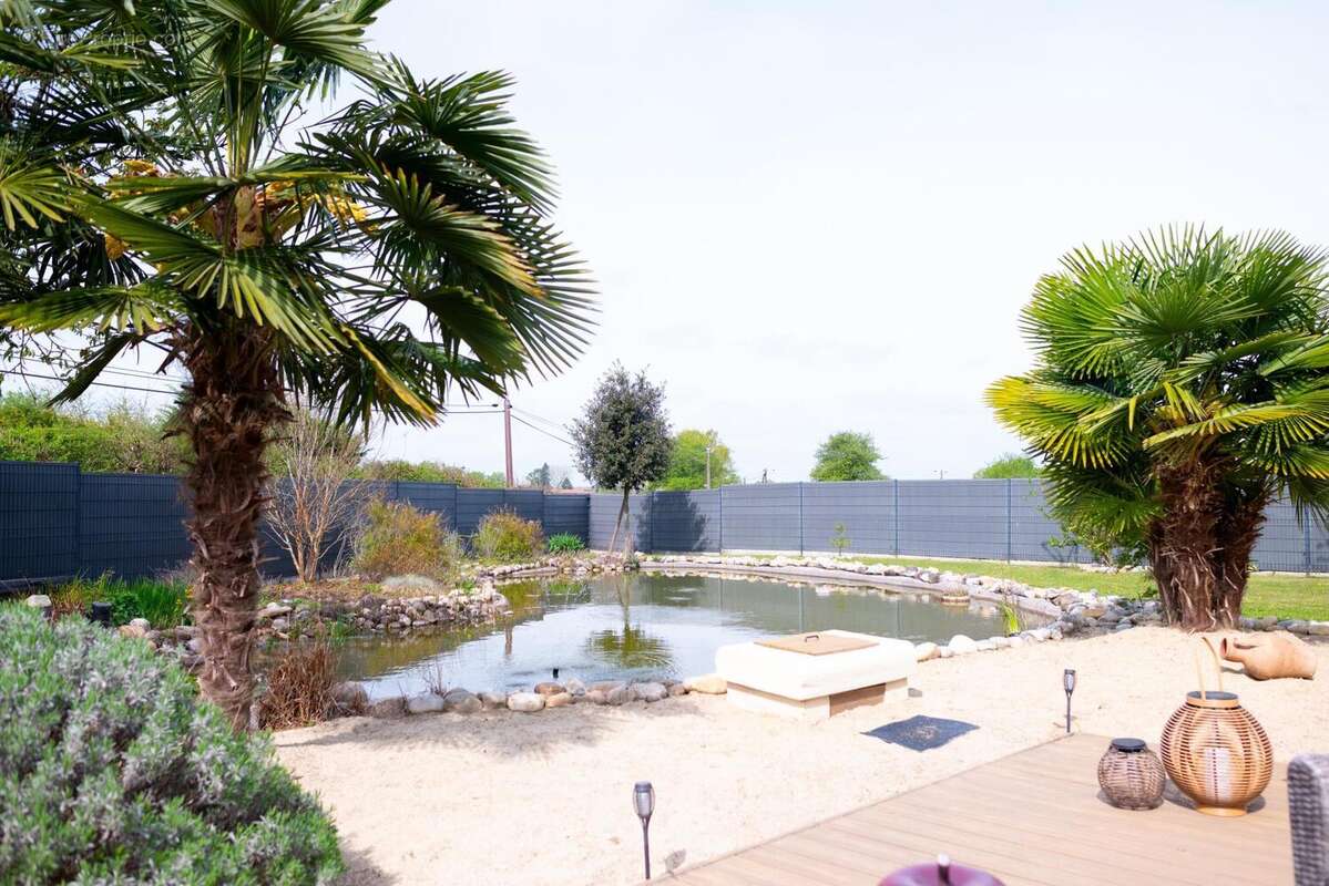 Photo 2 - Maison à DOMPIERRE-SUR-VEYLE