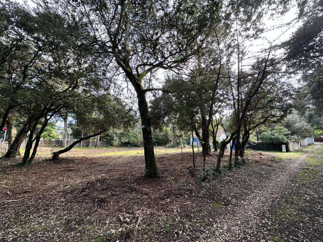 Terrain à SAINT-GEORGES-D&#039;OLERON