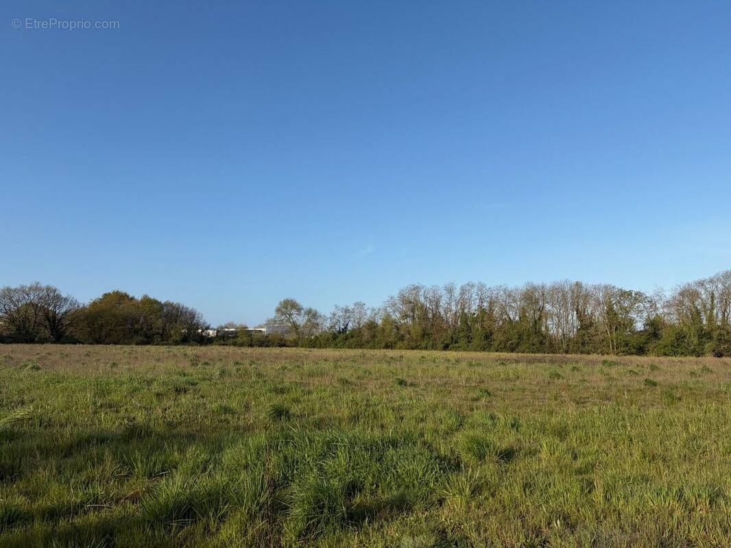 Terrain à SAINT-AUGUSTIN