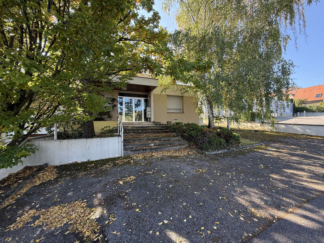 Maison à RIBEAUVILLE