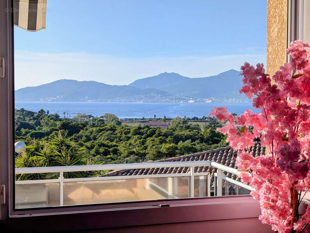 Maison à PIETROSELLA