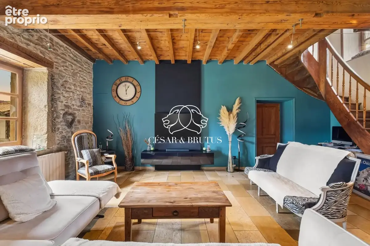 Maison 7 pièces 265 m² à vendre à Eyzin-Pinet (38780) - photo 6