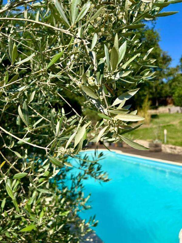 A vendre, en exclusivité, superbe périgourdine en pierre au coeur du Périgord vert - photo 6