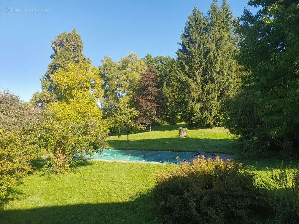 Magnifique propriété, 300 m2 , parc arboré, piscine ,tous commerces à proximité. - photo 10