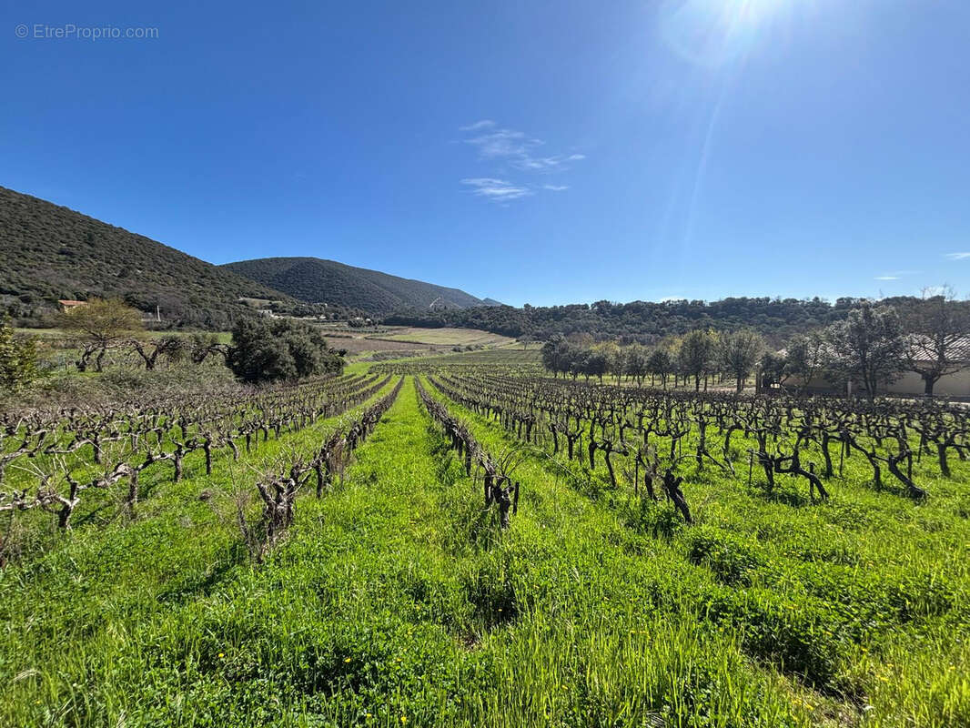 Terrain à ROUSSET-LES-VIGNES