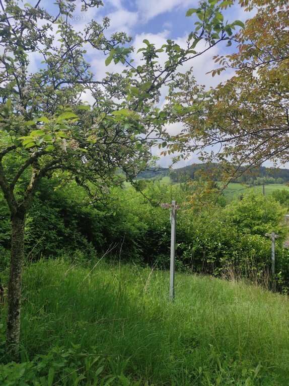 Maison à CHATEAU-CHINON(VILLE)