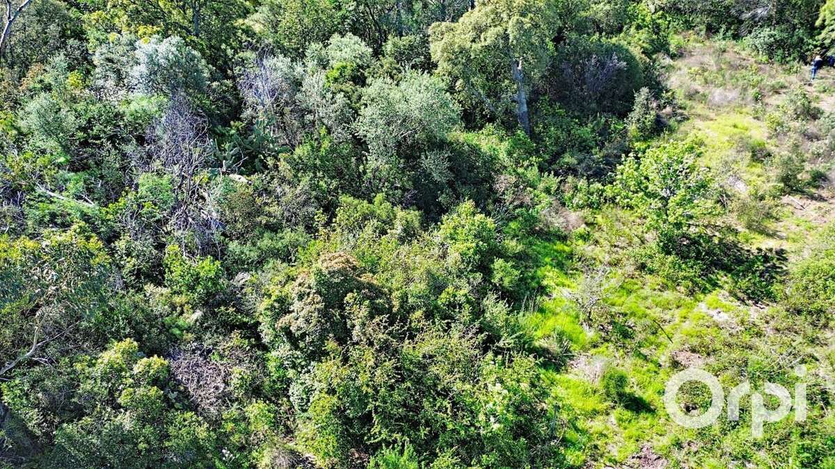 Terrain à PORTO-VECCHIO