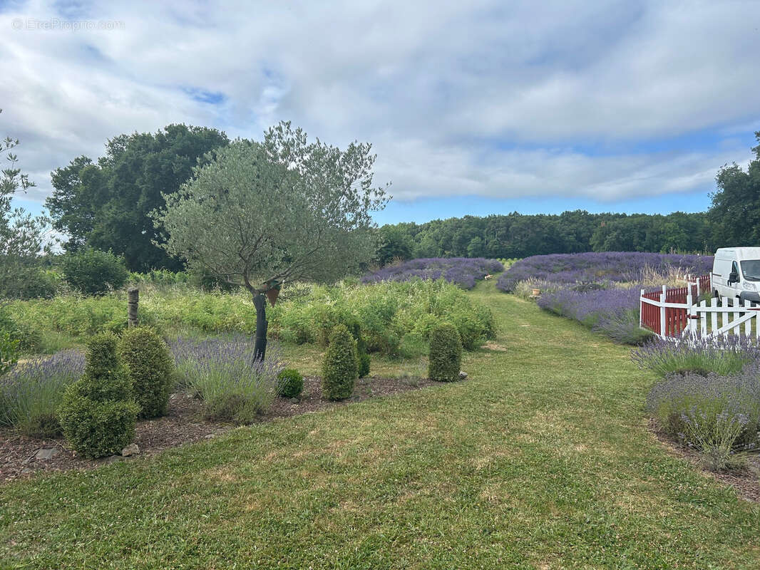 Maison à BUZET-SUR-BAISE