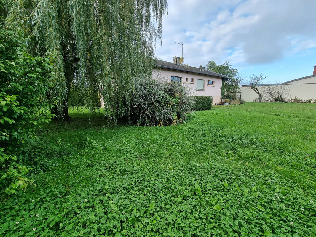 Maison à CHATEAU-SALINS