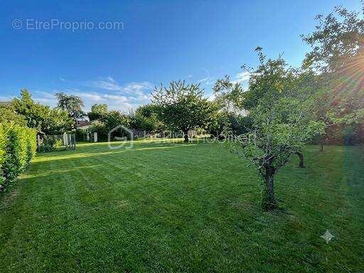 Terrain à vendre  887 m² à Blagnac - photo 19