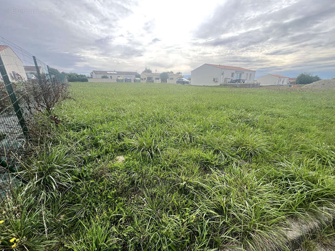 Terrain à ASNIERES-LA-GIRAUD