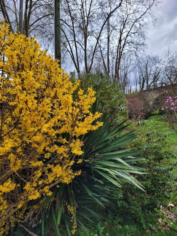 Maison à LABASTIDE-D&#039;ARMAGNAC