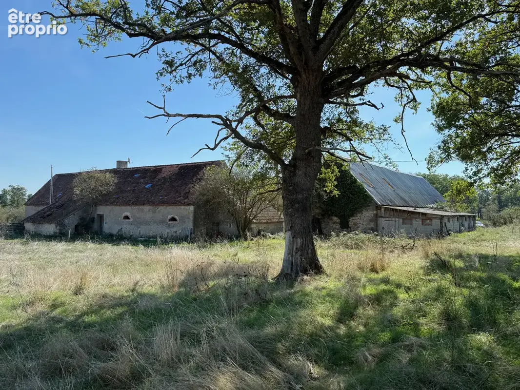 Auv 1210 : Magnifique projet : corps de ferme à rénover, plus de 28ha - photo 16