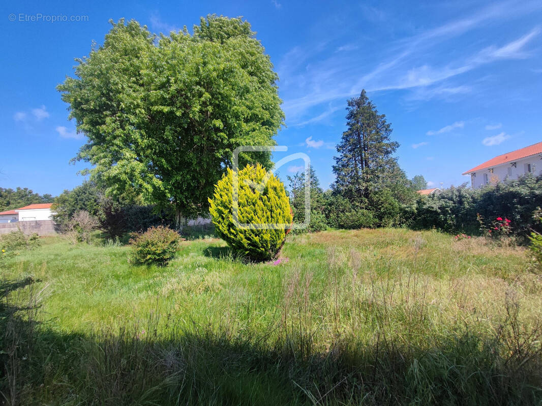 Terrain à BISCARROSSE