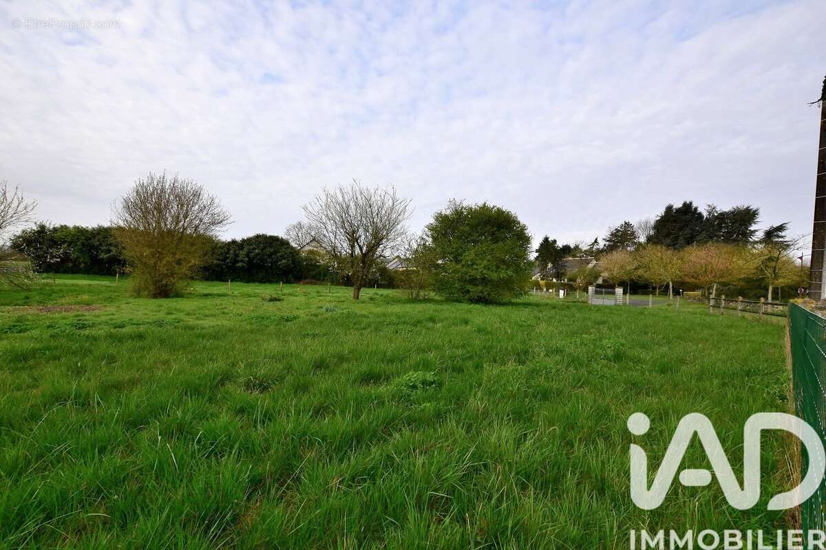 Photo 4 - Terrain à SORIGNY