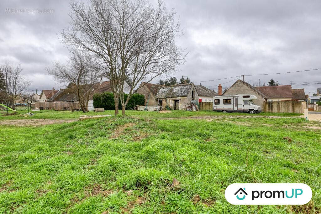 Terrain à LES MONTILS