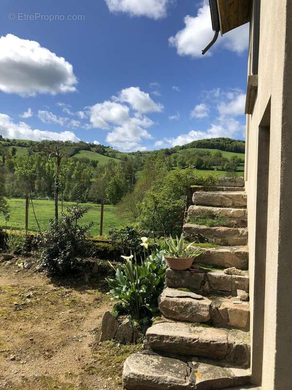 Photo 8 - Maison à AMPLEPUIS