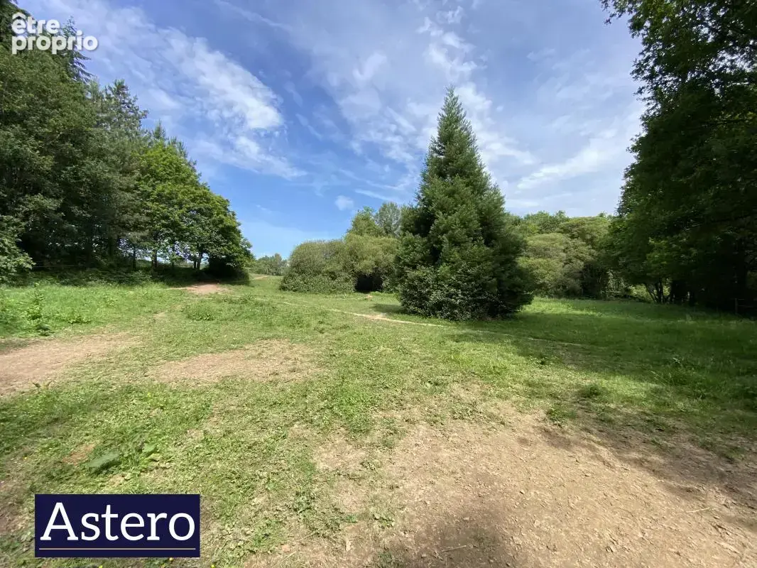 Propriété de caractère sur plus de 6 hectares - environnement exceptionnel et potentiel équestre - photo 16