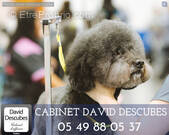 Commerce à POITIERS