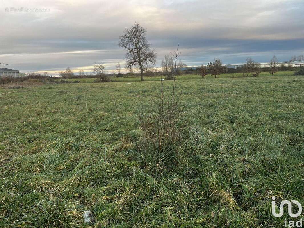 Photo 3 - Terrain à CAZERES