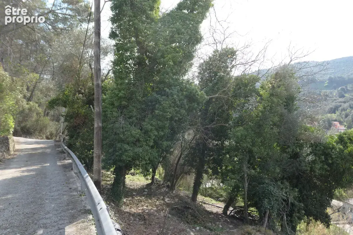 Terrain à bâtir - La Trinité - 2000m² - photo 4