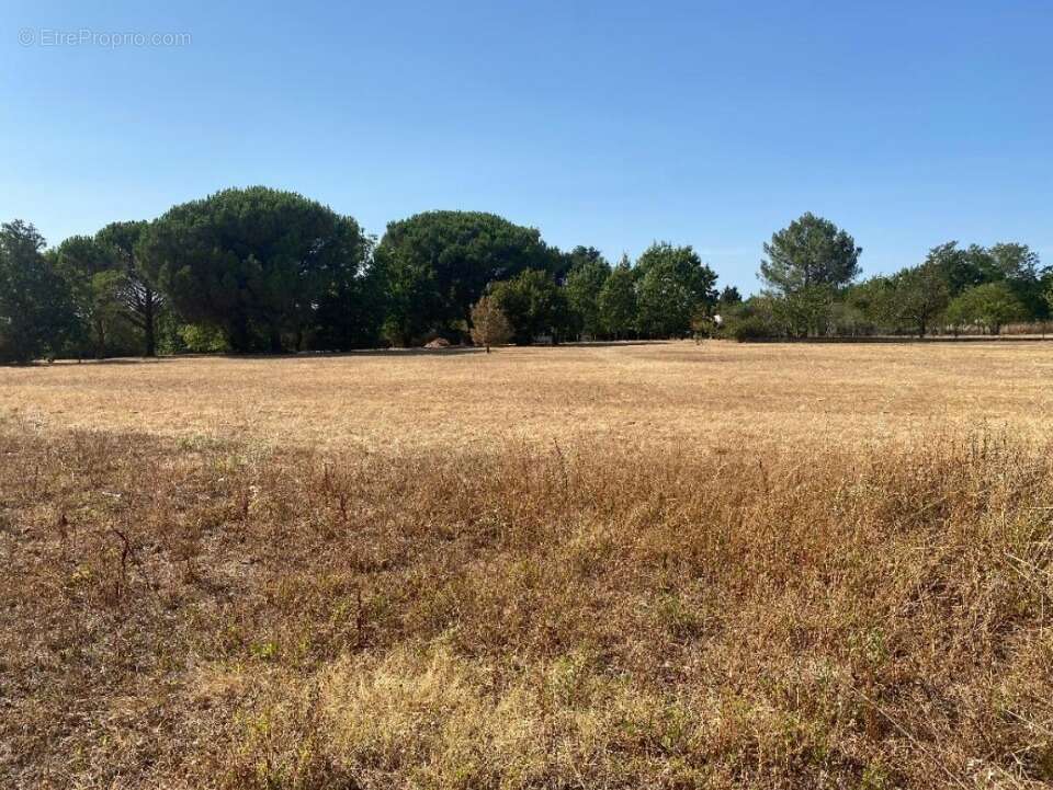 Terrain 594 m² à Montbartier  - photo 3