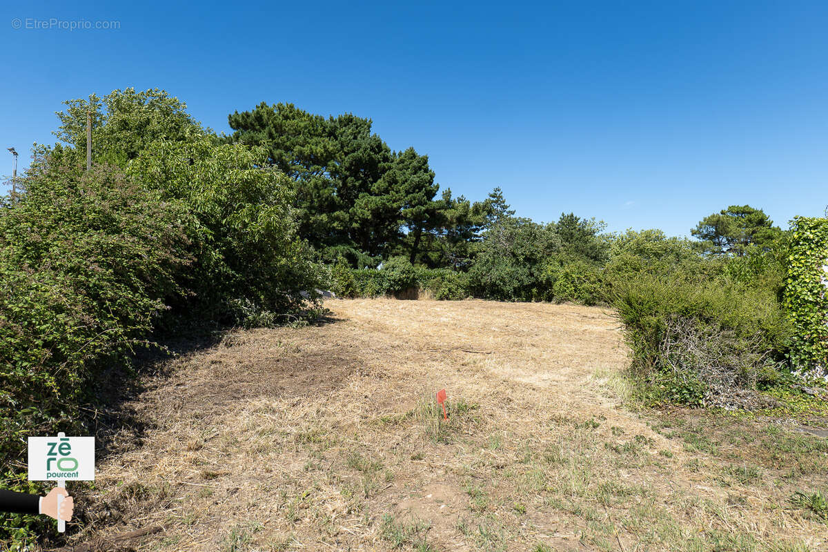 Terrain à ANGLES