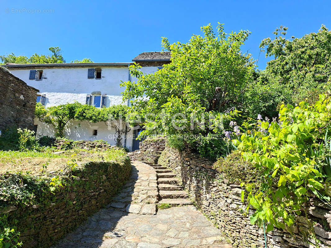 Maison à SAINT-FREZAL-DE-VENTALON