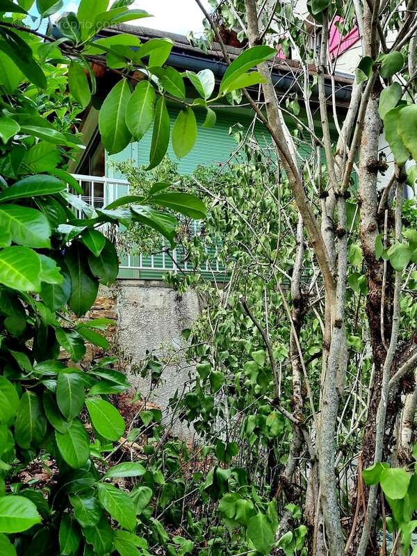 Maison à vendre 6 pièces  (39) - photo 40