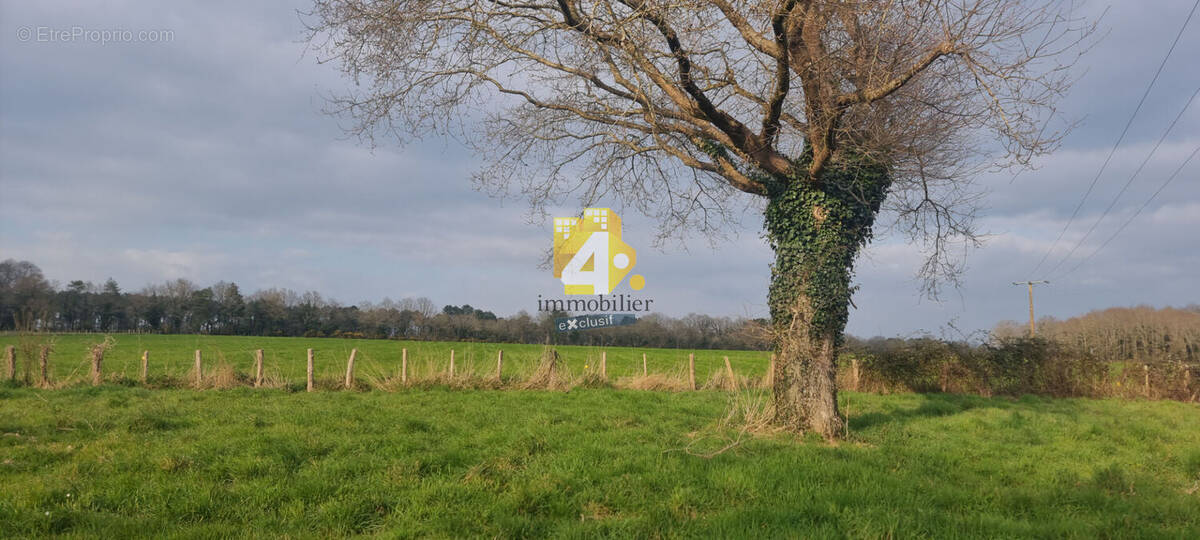 Terrain à MISSILLAC