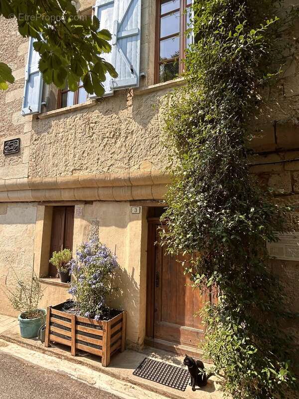 Vieil Aurignac, maison de village avec Gîte et terrasse - photo 22