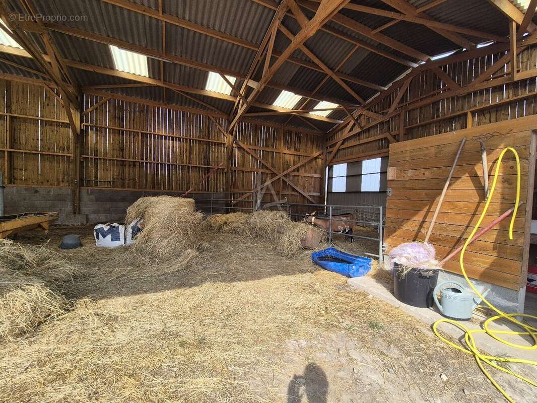 Belle propriété à seulement 4kms de Cabourg - photo 15