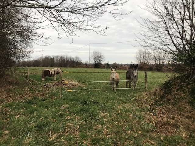 Belle maison de Maître - photo 2