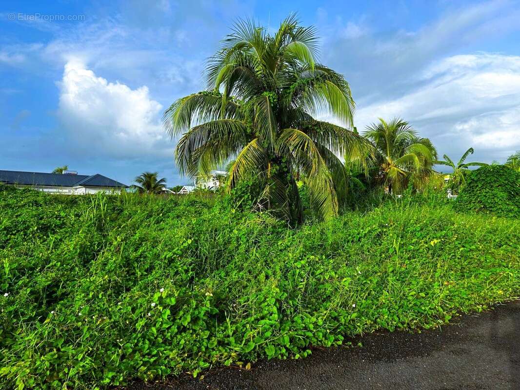 Terrain à CAPESTERRE-BELLE-EAU
