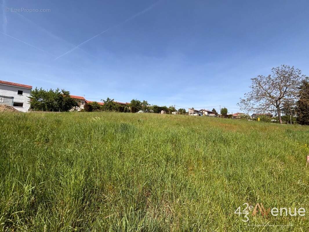 Terrain à MONISTROL-SUR-LOIRE