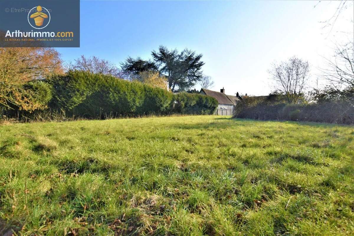 Vente Terrain Cressonsacq(60190) 50 000ï¿œ - photo 4