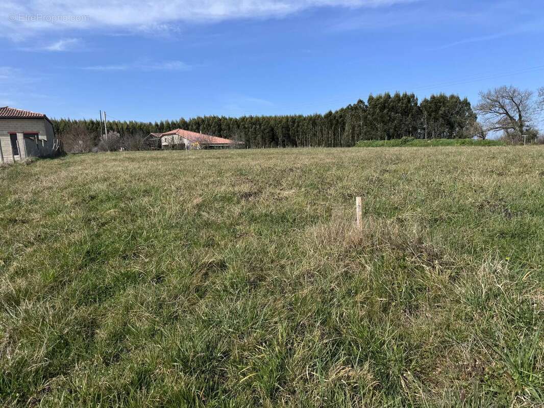 Terrain 846 m² à Lagraulet-Saint-Nicolas  - photo 2