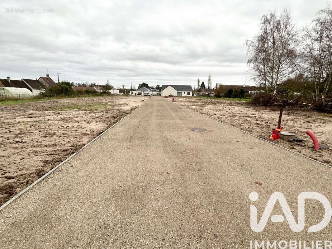 Photo 2 - Terrain à PRUNIERS-EN-SOLOGNE
