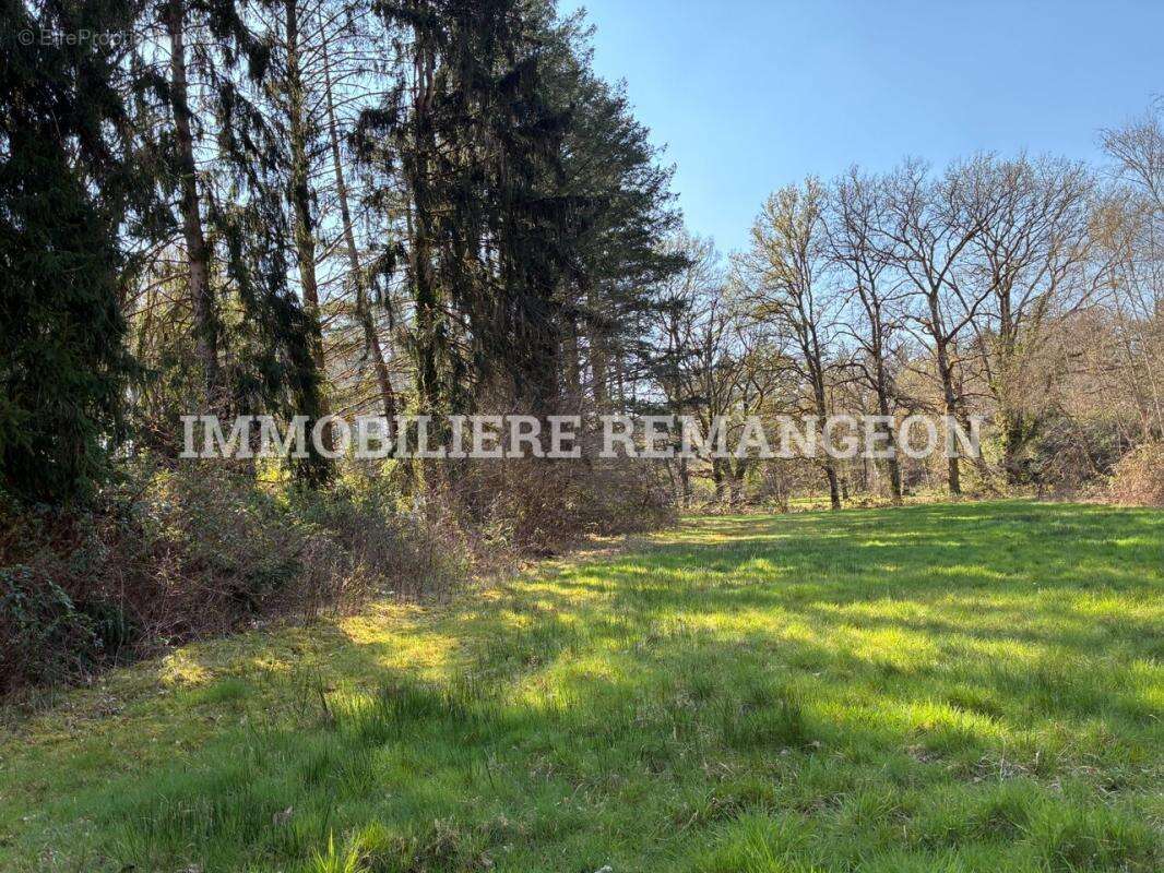 Maison à LAMOTTE-BEUVRON