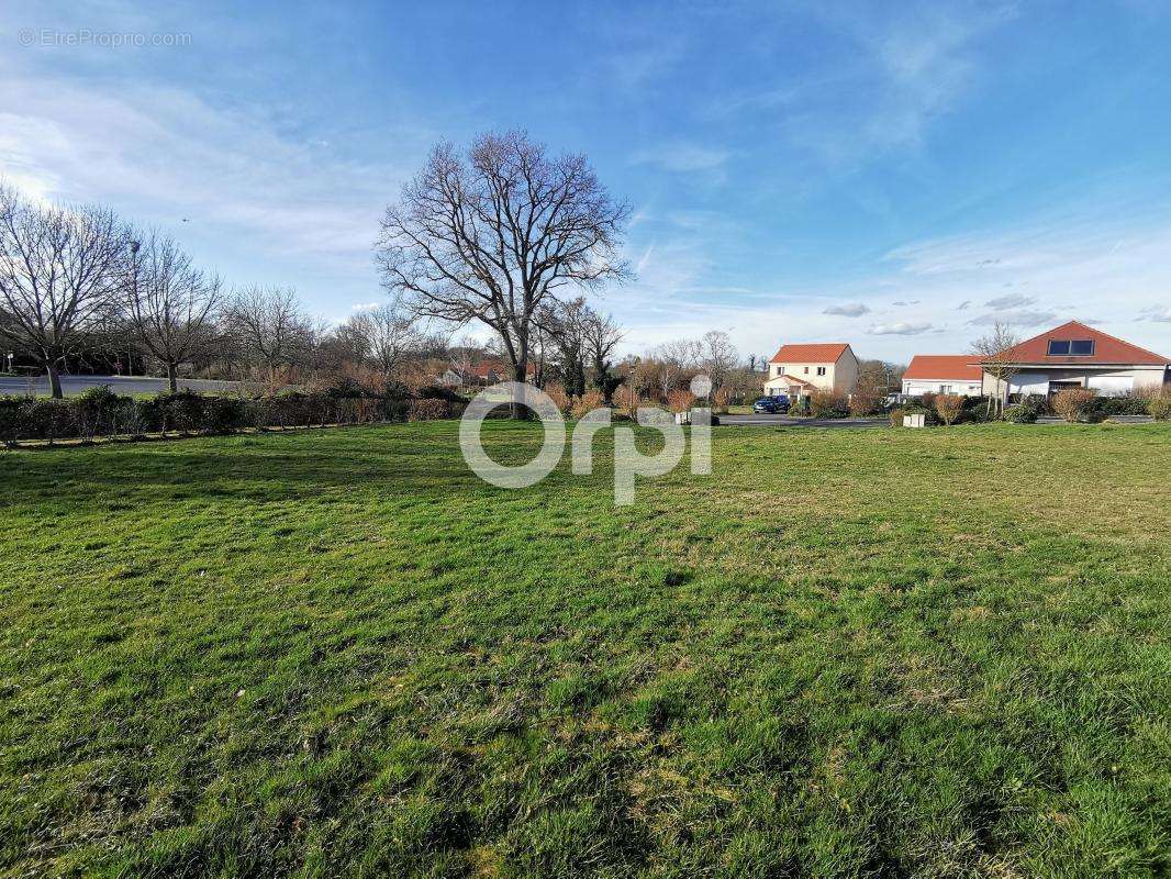 Terrain à DURDAT-LAREQUILLE