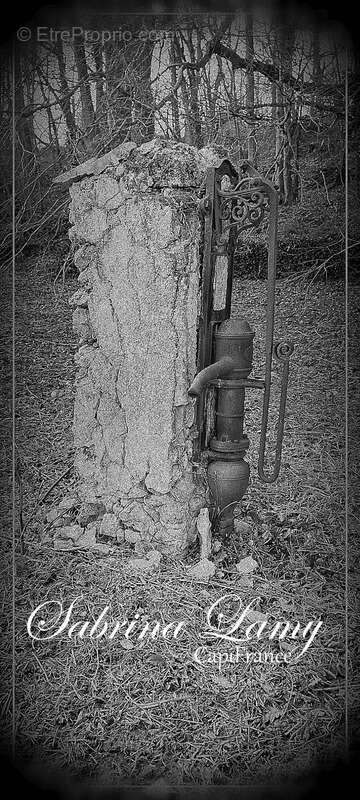 Terrain à ORBAIS-L&#039;ABBAYE