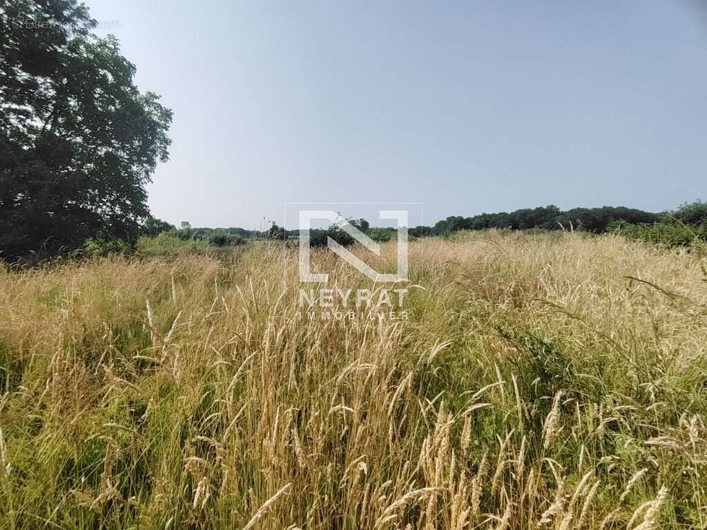 Terrain à SAINT-MARTIN-EN-BRESSE