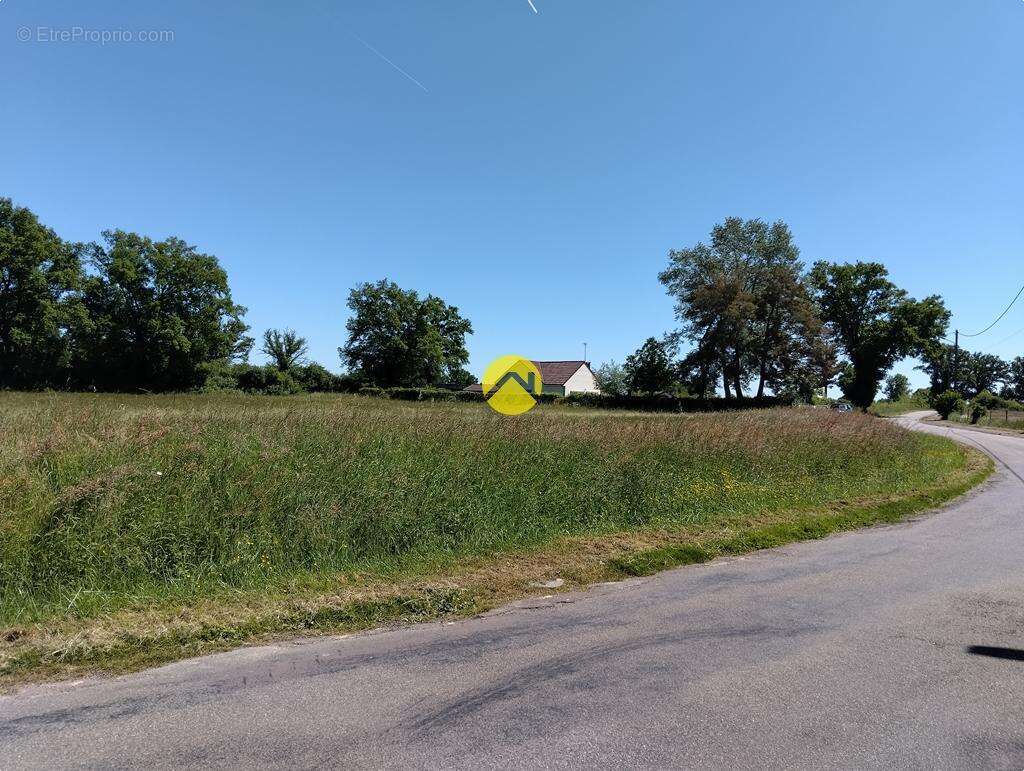 Terrain à LURCY-LEVIS