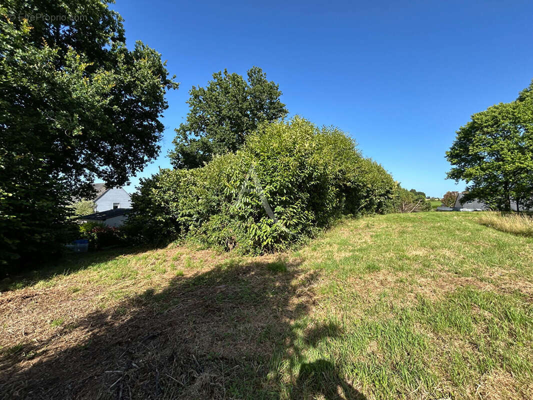 Terrain Constructible  non viabilisé avec étang Prée D'Anjou 6772 m² - photo 8