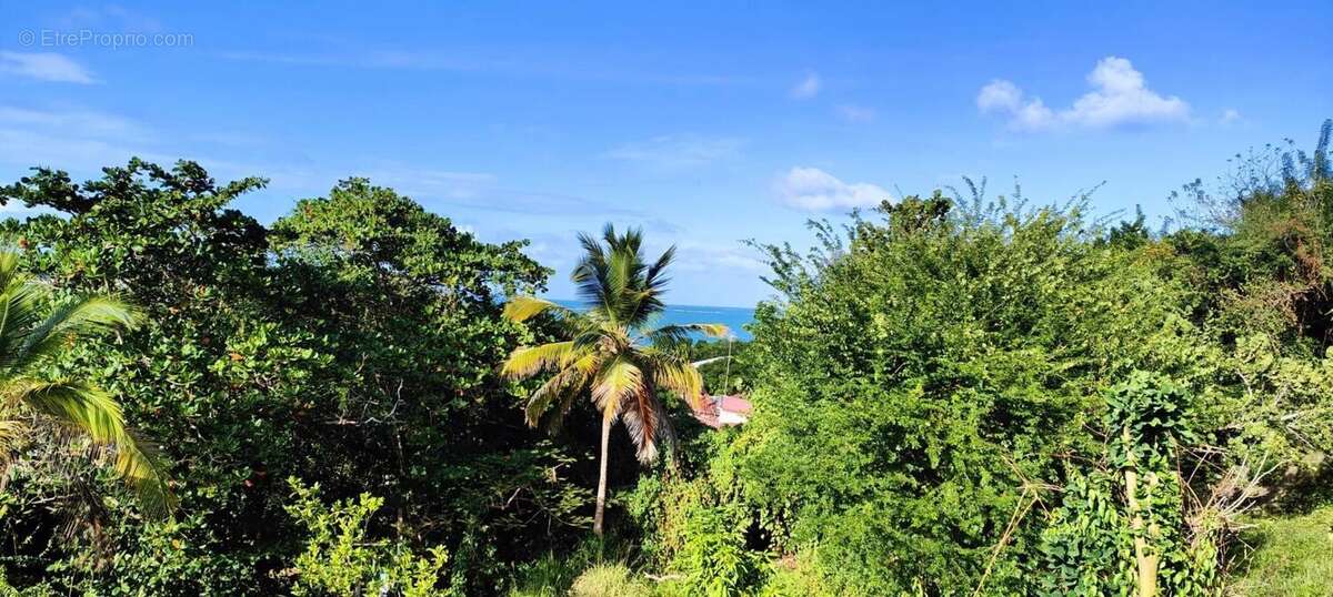 Maison à LE VAUCLIN